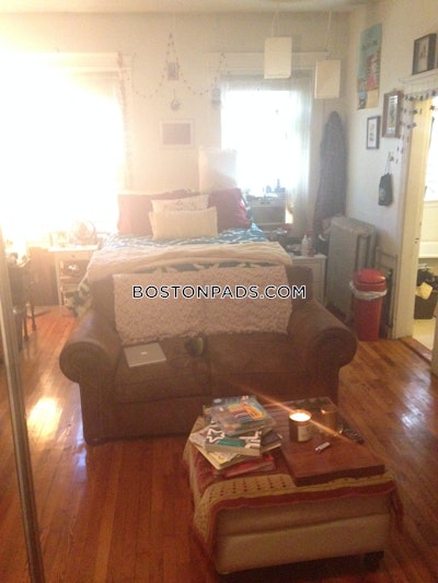 Allston/brighton Border Apartment for rent Studio 1 Bath Boston - $2,165 No Fee