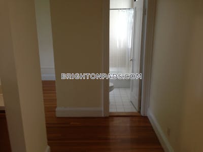 Brighton Apartment for rent 1 Bedroom 1 Bath Boston - $3,050 No Fee