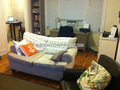 Brighton Apartment for rent 1 Bedroom 1 Bath Boston - $2,400