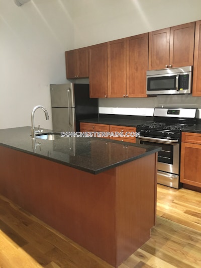 Dorchester Apartment for rent 2 Bedrooms 1 Bath Boston - $2,700