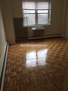Brookline Apartment for rent 2 Bedrooms 1 Bath  Boston University - $5,300 50% Fee