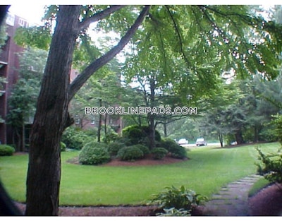 Newton Apartment for rent 2 Bedrooms 2 Baths  Chestnut Hill - $3,000 No Fee