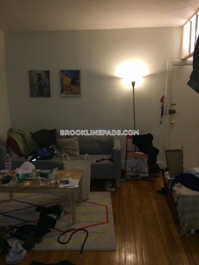 Brookline Apartment for rent 1 Bedroom 1 Bath  Washington Square - $2,250 No Fee