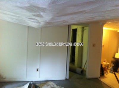 Brookline Apartment for rent 1 Bedroom 1 Bath  Washington Square - $2,395 No Fee