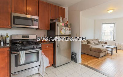 Mission Hill 4 Bed, 2 Bath Unit Boston - $5,600
