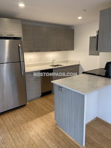 Allston 2 Beds 2 Baths Boston - $4,100
