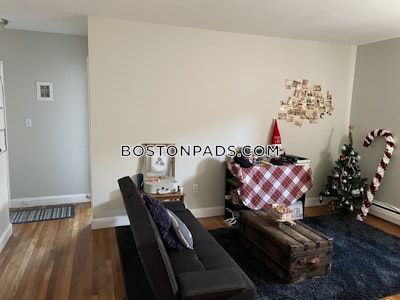 Brighton 2 Bed 1 Bath BOSTON Boston - $3,000 No Fee