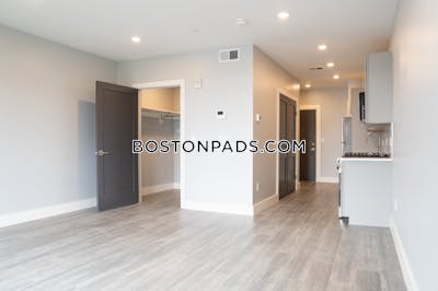 Brighton 0 Bed 1 Bath BOSTON Boston - $2,700 No Fee