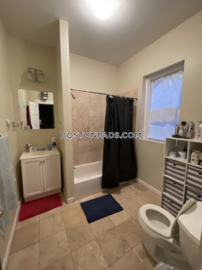 Allston 2 Beds 1 Bath Boston - $2,840 No Fee