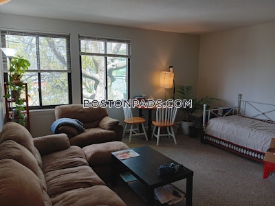 Cambridge Nice Porter Square 3-Bed 1-Bath Apartment  Porter Square - $3,650