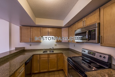 Cambridge 1 Bed 1 Bath  Central Square/cambridgeport - $3,350 No Fee