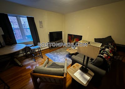 Brighton 2 Beds 1 Bath Boston - $2,900