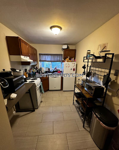 Brighton 2 Beds 1 Bath Boston - $2,950 No Fee