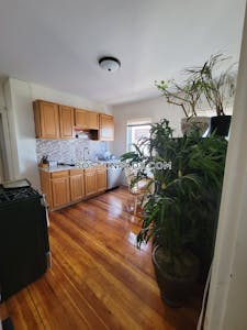 Dorchester 3 Beds 1 Bath Boston - $3,200