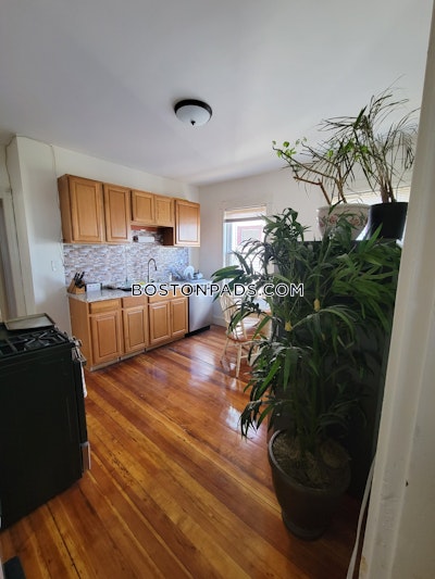 Dorchester 3 Beds 1 Bath Boston - $3,200