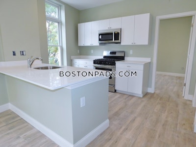 Roxbury 3 Beds 2 Baths Boston - $3,300 No Fee