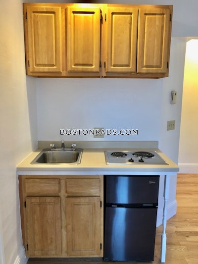 Brookline Studio 1 Bath  Boston University - $1,995 No Fee