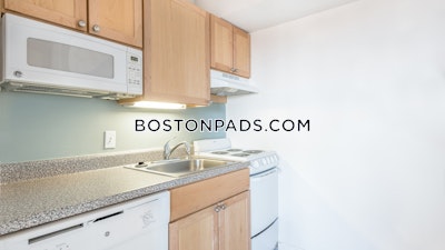Cambridge 1 Bed 1 Bath CAMBRIDGE  Central Square/cambridgeport - $2,925