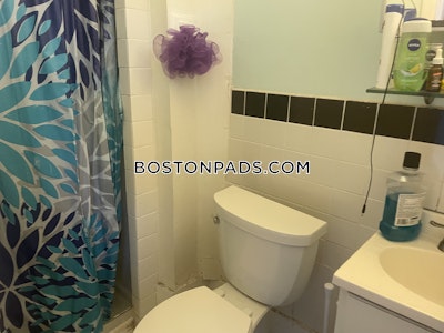 Mission Hill 3 Beds 2 Baths Boston - $4,500
