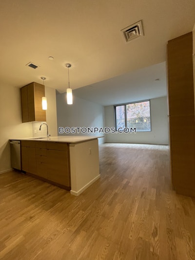 South End 1 Bed 1 Bath BOSTON Boston - $4,055