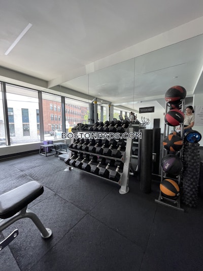 South End 2 Bed 2 Bath BOSTON Boston - $4,950
