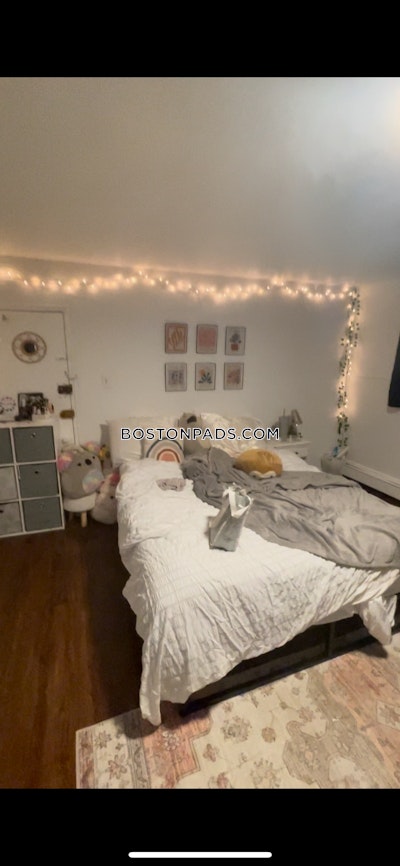 Brighton 2 Bed 1 Bath BOSTON Boston - $2,850