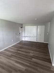 Brighton 2 Bed 1 Bath BOSTON Boston - $3,065