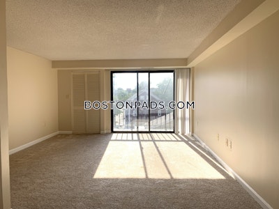 Cambridge 2 Bed 1.5 Bath CAMBRIDGE  Central Square/cambridgeport - $4,100