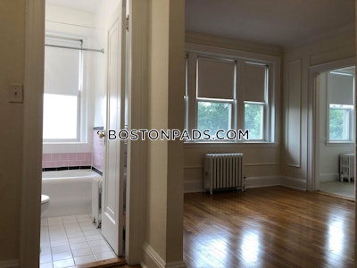 Brighton 1 Bed 1 Bath Boston - $2,810 No Fee