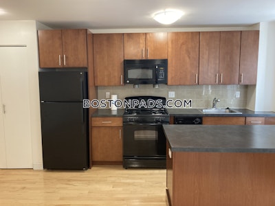 Brighton 1 Bed 1 Bath Boston - $2,765 No Fee