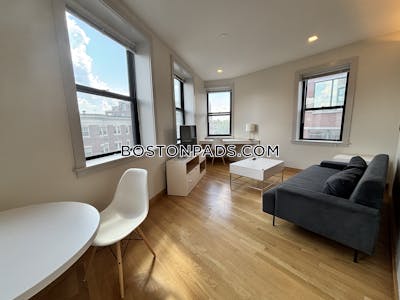 Cambridge Modern Studio in Harvard Square  Harvard Square - $3,600 No Fee