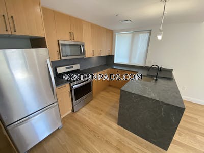 Allston 2 Beds 2 Baths Boston - $4,200 No Fee