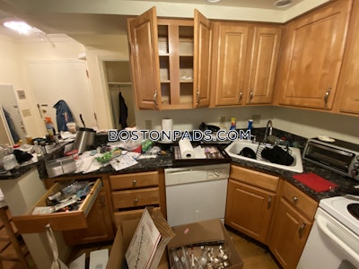 Brookline Studio 1 Bath  Chestnut Hill - $2,600