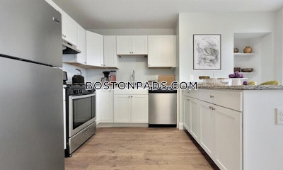 Roxbury 2 Beds 1 Bath Boston - $2,995 No Fee
