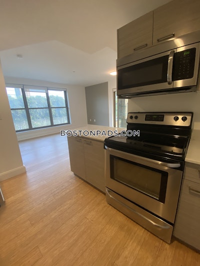 Allston 2 Beds 2 Baths Boston - $3,900 No Fee