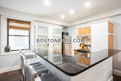 Downtown 1 Bed 1 Bath Boston - $3,000 50% Fee