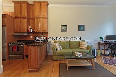 Back Bay Studio 1 Bath Boston - $2,800