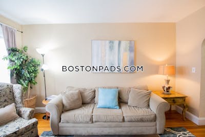 Brighton 1 Bed 1 Bath Boston - $4,400