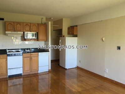 Allston Apartment for rent Studio 1 Bath Boston - $1,850