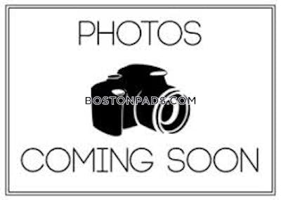 Allston/brighton Border Apartment for rent Studio 1 Bath Boston - $2,075 No Fee