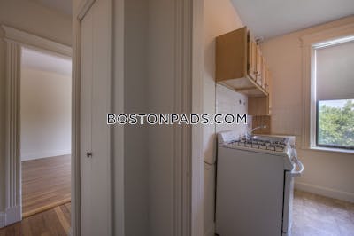 Allston Apartment for rent 1 Bedroom 1 Bath Boston - $2,550 No Fee