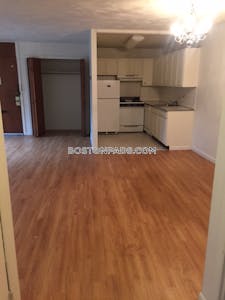 Allston/brighton Border Apartment for rent 1 Bedroom 1 Bath Boston - $2,395 No Fee