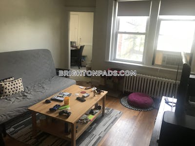 Brighton Apartment for rent 1 Bedroom 1 Bath Boston - $2,445 No Fee