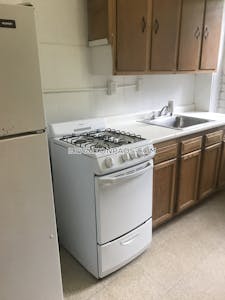 Brighton Apartment for rent 1 Bedroom 1 Bath Boston - $2,545 No Fee