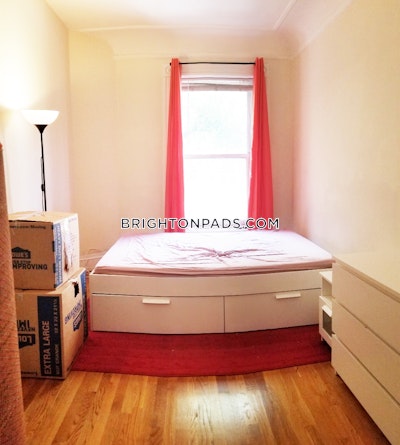 Brighton Apartment for rent 1 Bedroom 1 Bath Boston - $2,895