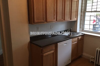 Brighton Apartment for rent 1 Bedroom 1 Bath Boston - $2,475 No Fee