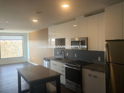 Jamaica Plain Apartment for rent 2 Bedrooms 2 Baths Boston - $4,585 No Fee