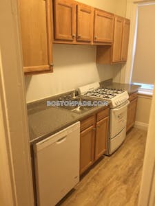 Brighton Apartment for rent 1 Bedroom 1 Bath Boston - $2,325 No Fee