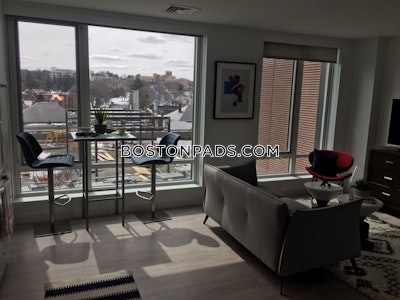 Brighton Apartment for rent 2 Bedrooms 2 Baths Boston - $5,994 No Fee