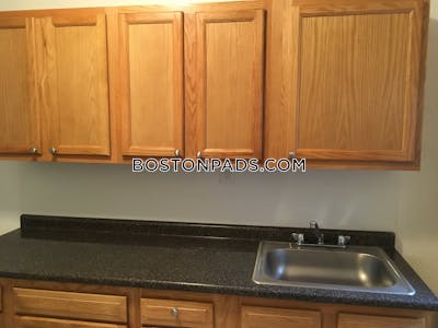 Allston/brighton Border Apartment for rent 1 Bedroom 1 Bath Boston - $2,195 No Fee